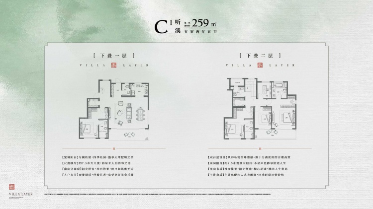 C1