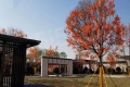 天津翡翠公园实景图相册大图