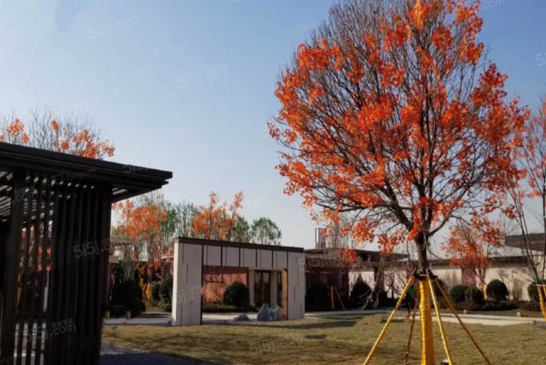天津翡翠公园实景图