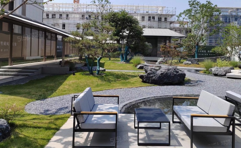 紫薇花开实景图