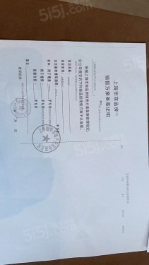 大华星耀第21张图