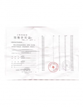 大华星耀第18张图