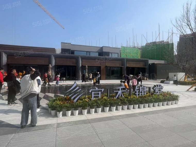 宜禾锦棠实景图
