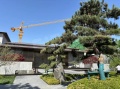 金地风华919实景图相册大图