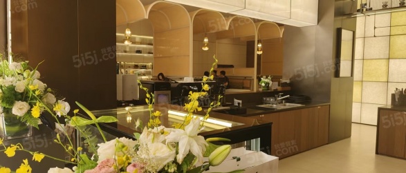 中建和颂九里第11张图