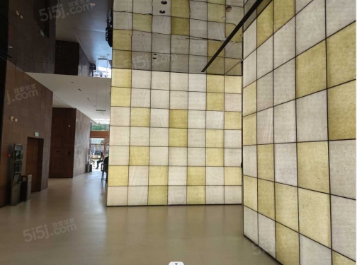 中建和颂九里第16张图