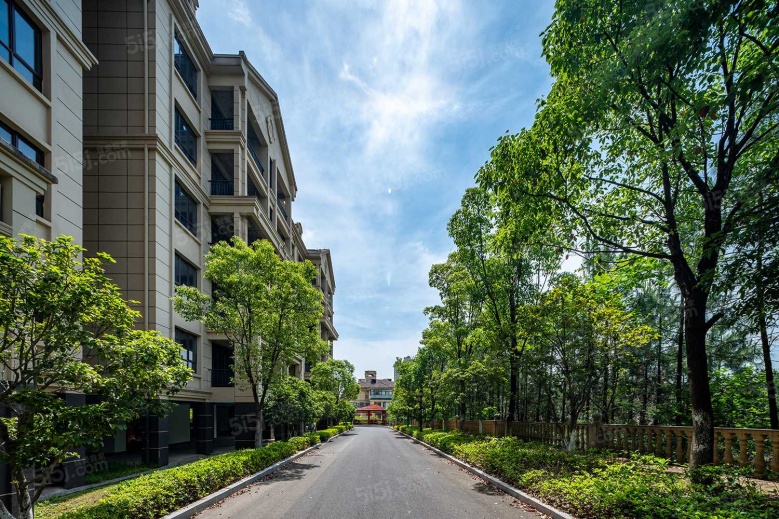 宏泰四季花城实景图