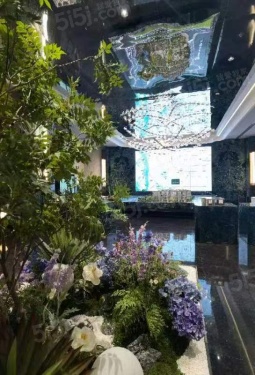 花香壹號第11张图