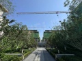 中国铁建花语天境实景图相册大图