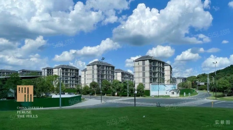 中海阅狮山实景图