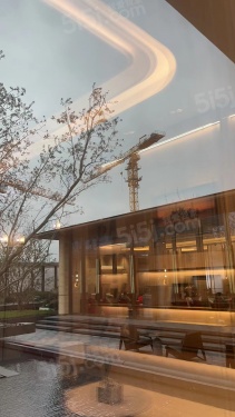 大华星耀第11张图