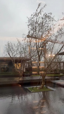 大华星耀第10张图