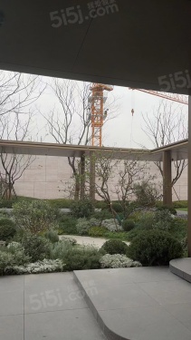 大华星耀第8张图