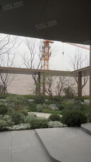 大华星耀实景图