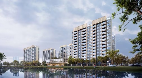 大华星耀第1张图