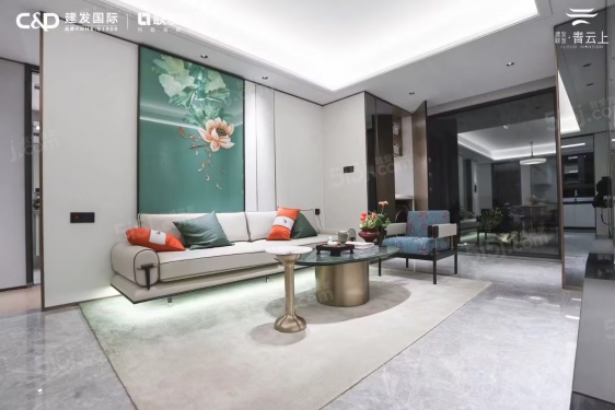 大华星耀第6张图