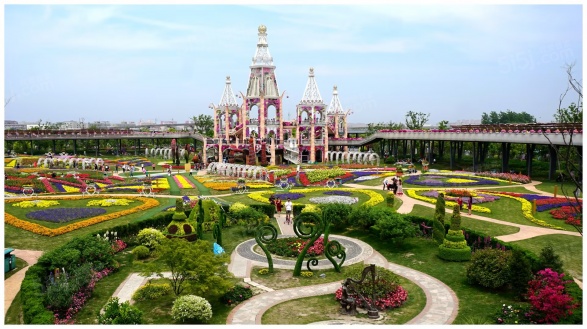 大华星耀第15张图