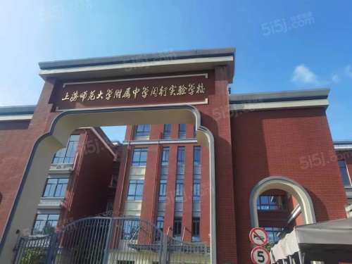 大华星耀第14张图