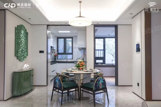 大华星耀第4张图