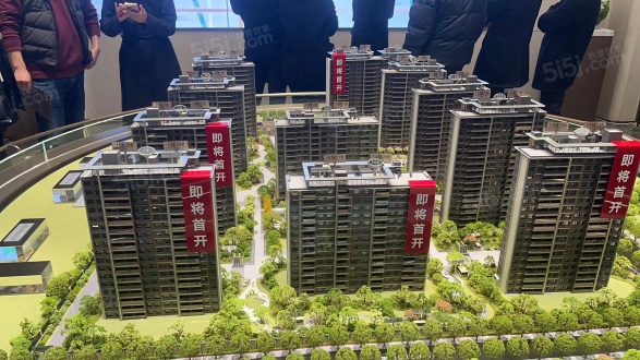 大华星耀第23张图