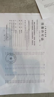 大华星耀第20张图