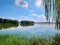 鑫相河畔雅苑（金相天地）配套图相册大图