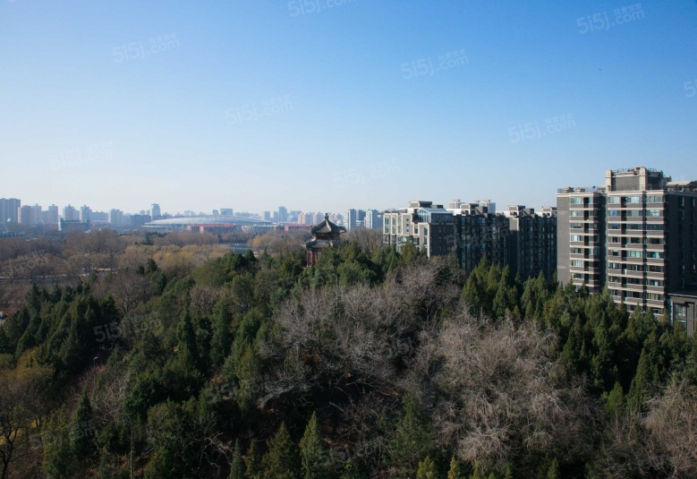 一瓶实景图