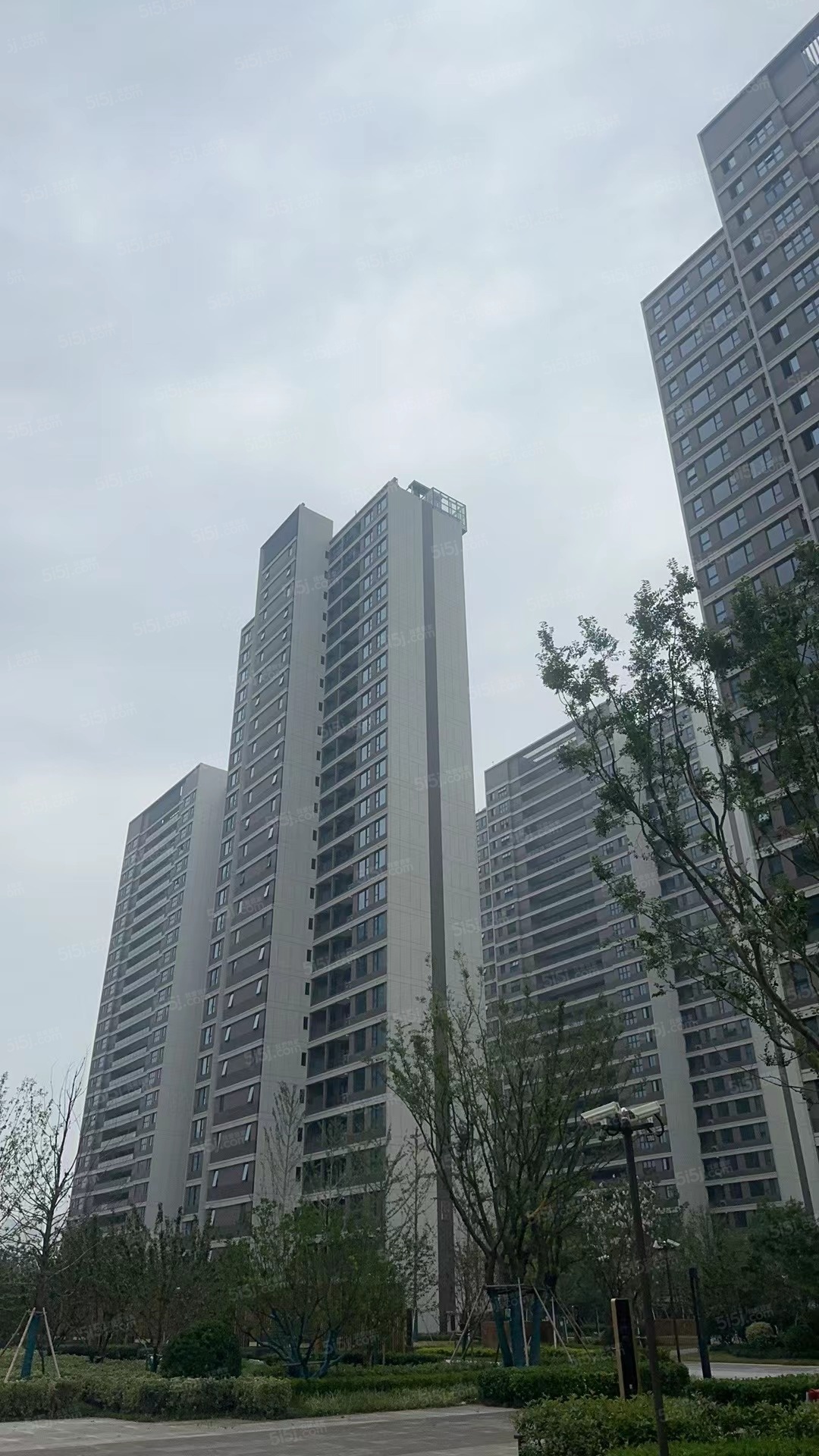 澄澜云庭实景图