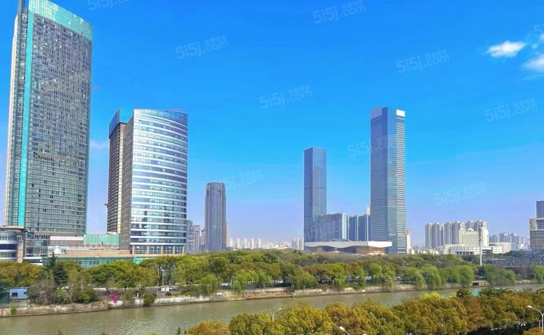 金领十里上棠实景图