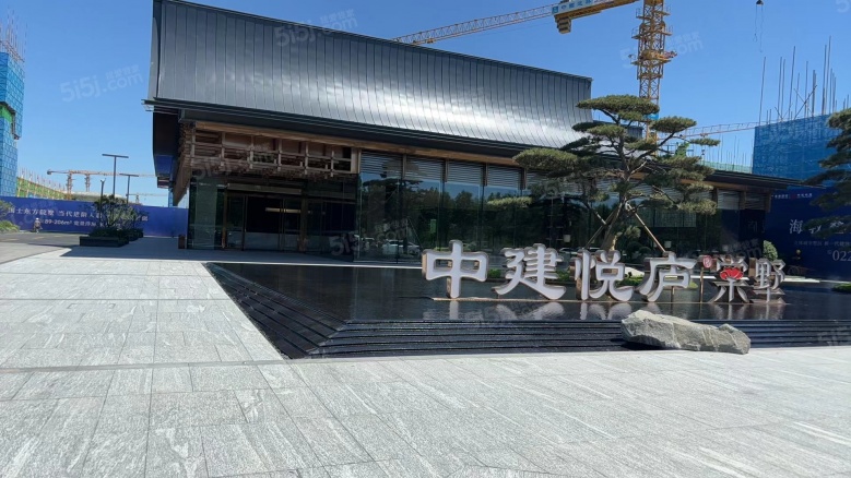 中建悦庐棠墅实景图