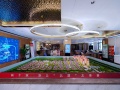 建投新光之城沙盘图相册大图