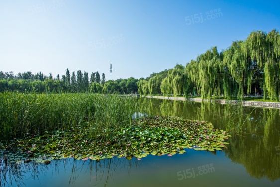 中建御璟星城元启第22张图