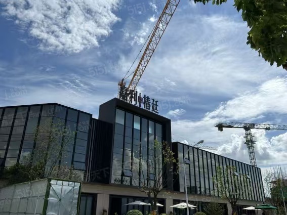 中建大椿-嘉利椿廷项目现场