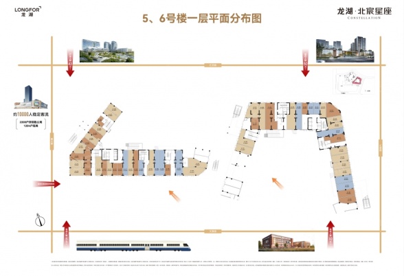 1室户型详情