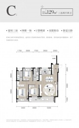 3室2厅2卫户型图