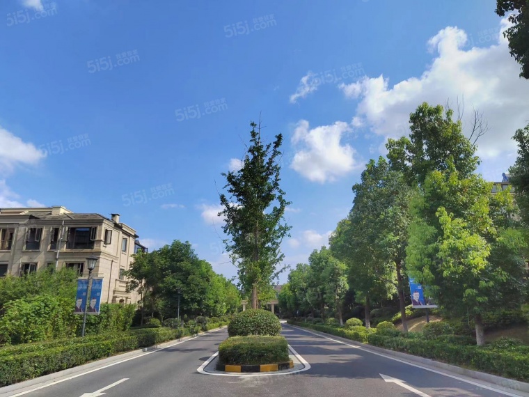 景枫你山实景图