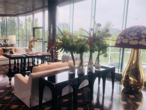 星悦时光第33张图