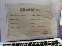 绿都观澜府开发商营业执照相册