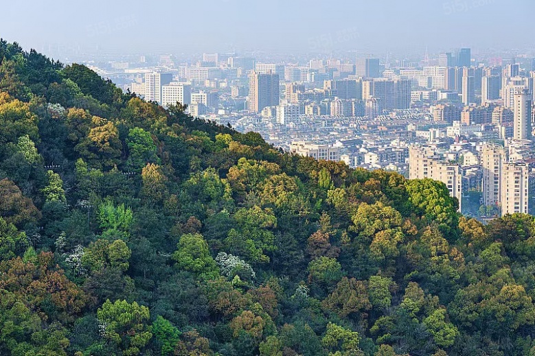 杰立颂香望庐配套图