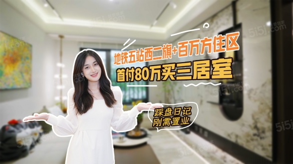 梧桐星宸第1张图