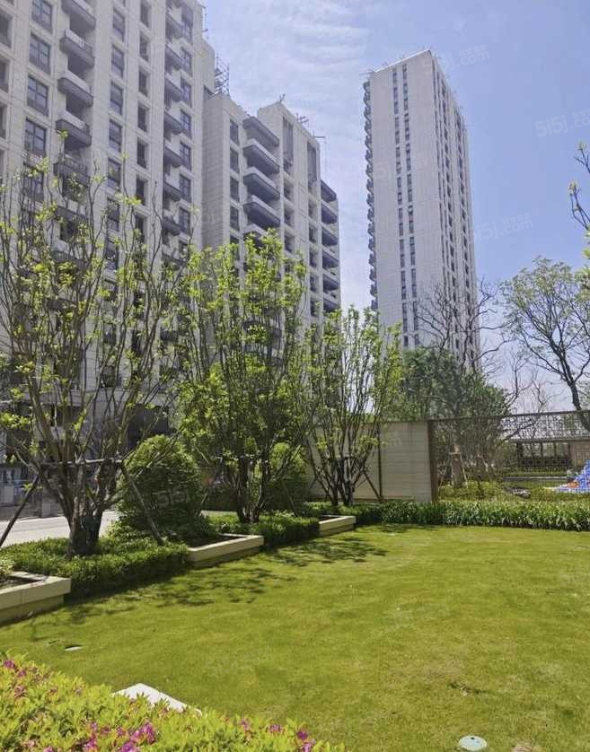 中企云萃森林实景图