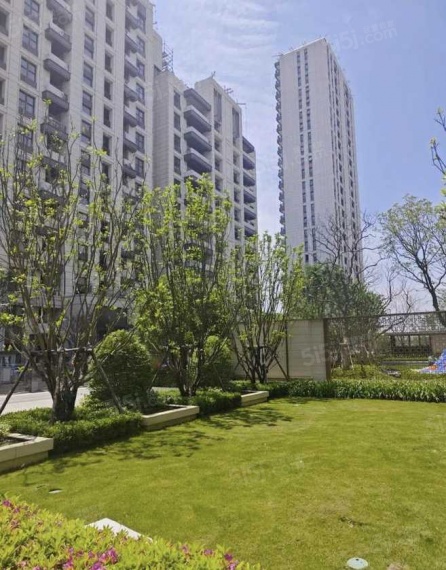中企云萃森林实景图