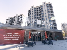 公园都会沙盘图相册