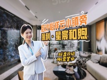 保利星宸和煦沙盘图相册