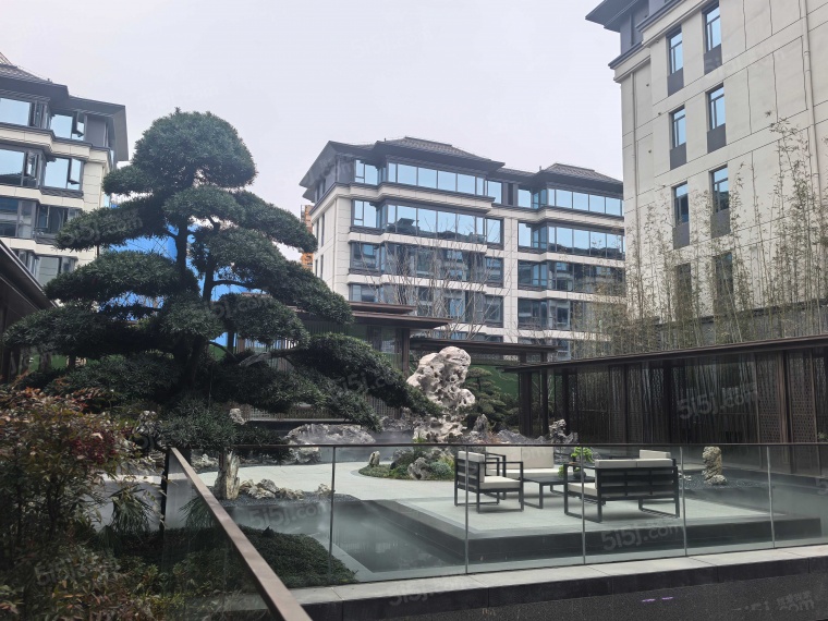 凤栖朝鸣实景图