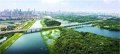 凤栖朝鸣配套图相册大图