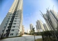 阳明花园实景图相册大图