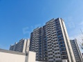 同济蟠龙里实景图相册大图