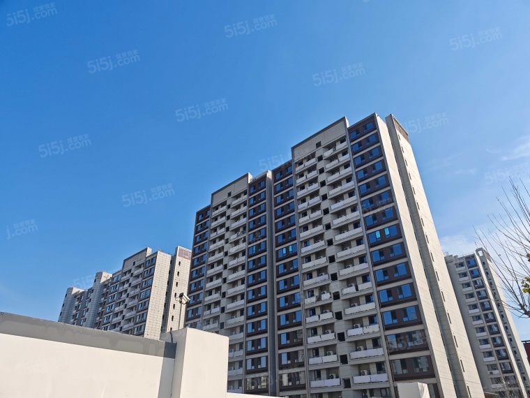 同济蟠龙里实景图