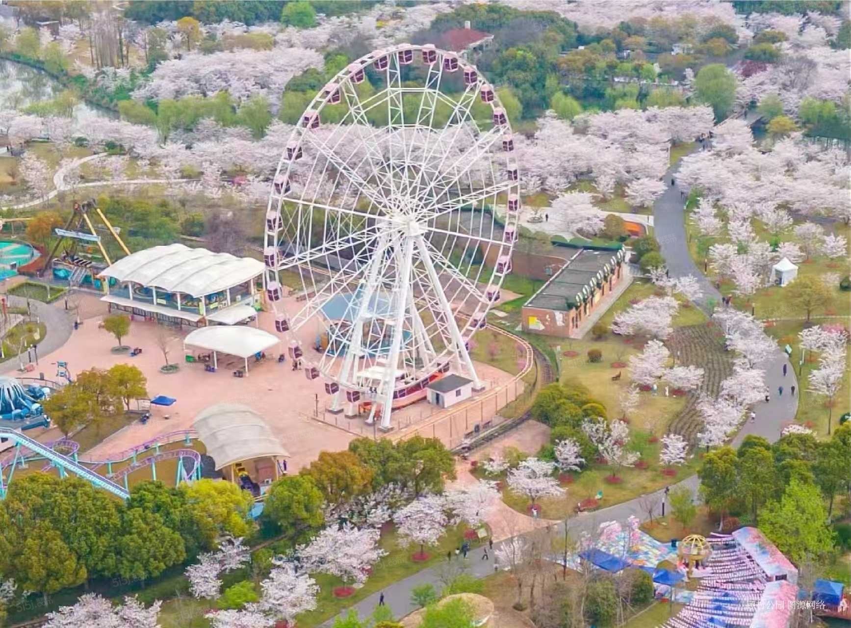 中建山水雅境配套图